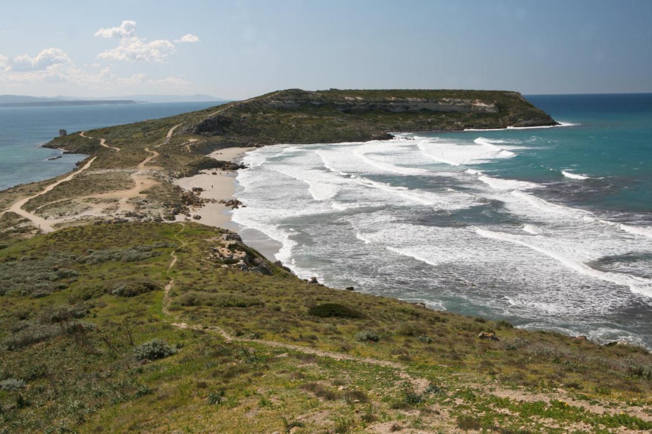 Angolo Verde Oristano Exteriér fotografie